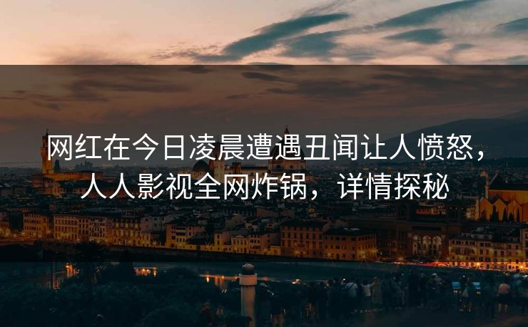 网红在今日凌晨遭遇丑闻让人愤怒,人人影视全网炸锅,详情探秘